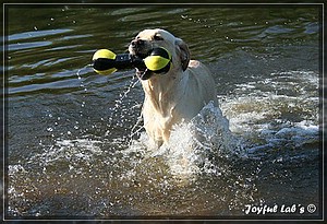 Joyful Labs Always Happy Girl "Frieda"