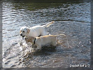 Joyful Labs Always Happy Girl "Frieda"