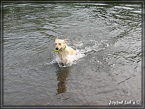 Joyful Labs Always Happy Girl "Frieda"