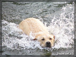 Joyful Labs Always Happy Girl "Frieda"