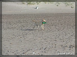 Joyful Labs Always Happy Girl "Frieda"