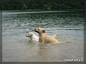 Joyful Labs Always Happy Girl "Frieda"