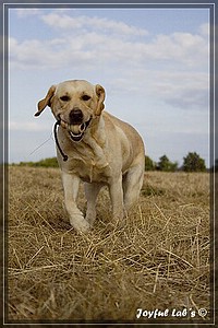 Joyful Labs Always Happy Girl "Frieda"