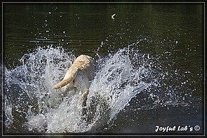 Joyful Labs Always Happy Girl "Frieda"