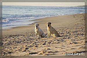 Das Joyful Labs Dreamteam im Urlaub!