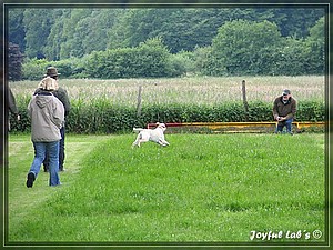 Joyful Labs A-Wurf Wesenstest