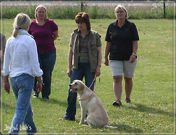 Rosefair Joyful Girl "Hanna"