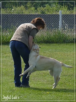 Rosefair Joyful Girl "Hanna"