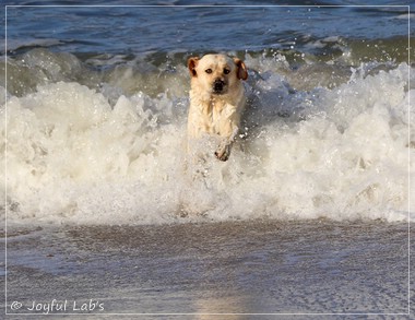 Joyful Lab's Eye-Catching Girl - Tilda -