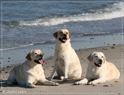 Die Joyful Girls im Urlaub