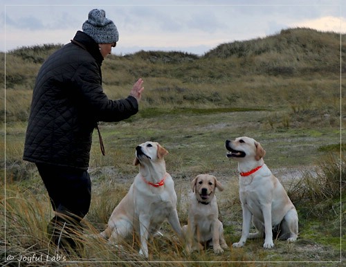 Joyful Lab's Eye-Catching Girl - Tilda -