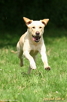 Always Happy Girl