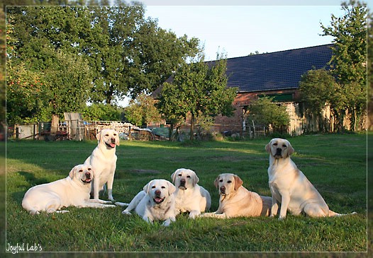 Joyful Girls im Urlaub