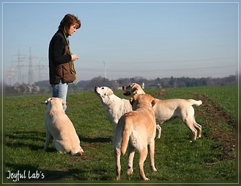 Rosefair Joyful Girl "Hanna"