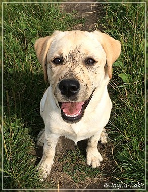 Joyful Lab's Classic Girl "Carla"