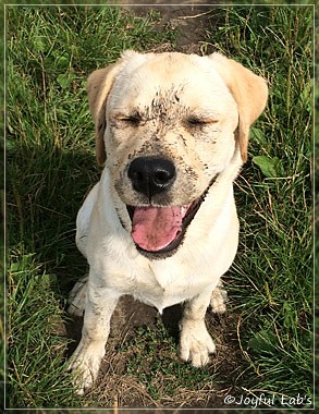 Joyful Lab's Classic Girl "Carla"