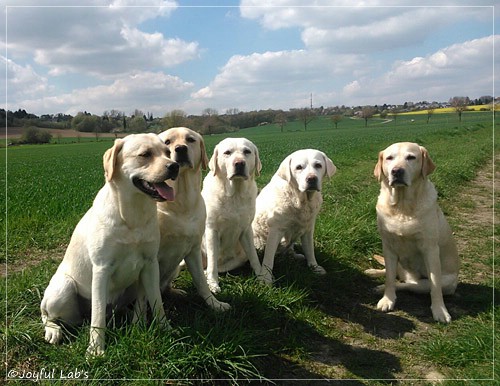 Die Joyful Lab Girls