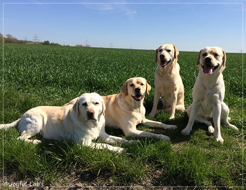 Die Joyful Lab Girls