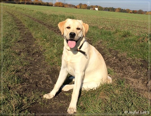 Joyful Lab's Classic Girl "Carla"