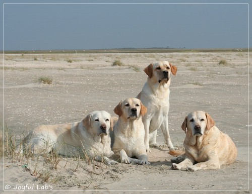 Die Joyful Girls im Urlaub