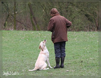 Rosefair Joyful Girl "Hanna"