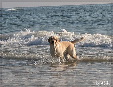 Die Joyful Girls im Dnemarkurlaub 2014