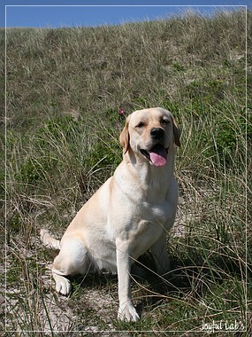 Hanna - Rosefair Joyful Girl