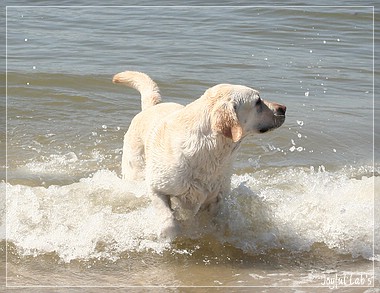 Die Joyful Girls im Dnemarkurlaub 2014