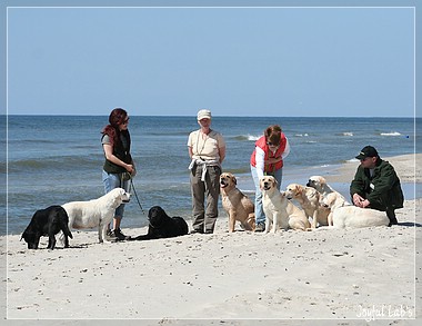 Die Joyful Girls im Dnemarkurlaub 2014