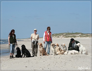 Die Joyful Girls im Dnemarkurlaub 2014