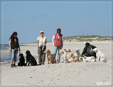 Die Joyful Girls im Dnemarkurlaub 2014