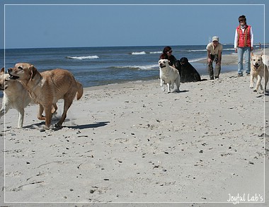 Die Joyful Girls im Dnemarkurlaub 2014