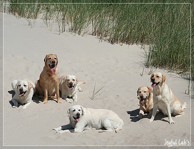 Die Joyful Girls im Dnemarkurlaub 2014