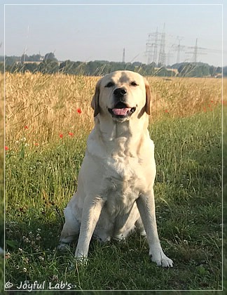 Hanna - Rosefair Joyful Girl