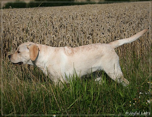 Joyful Lab's Classic Girl "Carla"