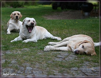 Joyful Girls im Urlaub