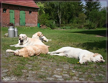 Joyful Girls im Urlaub