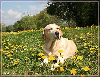 Joyful Girls im Urlaub