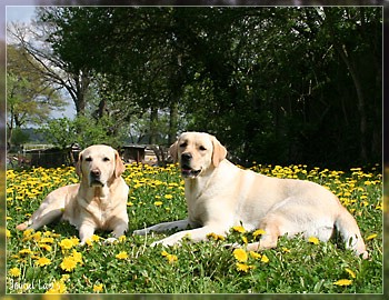 Joyful Girls im Urlaub