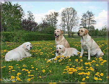 Joyful Girls im Urlaub