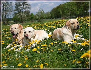 Joyful Girls im Urlaub