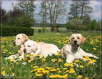 Joyful Girls im Urlaub