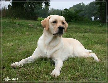 Hanna - Rosefair Joyful Girl