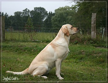 Hanna - Rosefair Joyful Girl