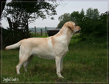 Hanna - Rosefair Joyful Girl