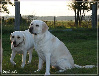 Joyful Girls im Urlaub