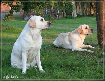 Joyful Girls im Urlaub