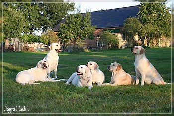 Joyful Girls im Urlaub