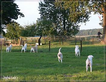 Joyful Girls im Urlaub