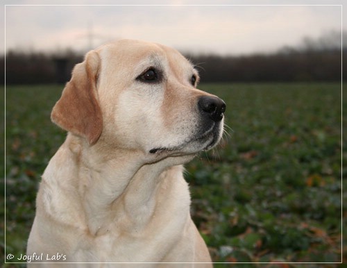 Hanna - Rosefair Joyful Girl